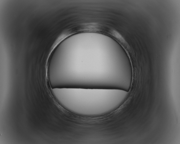 X0000086011370200703230901