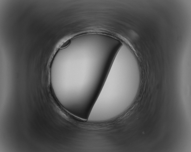 X0000086011371200703230901