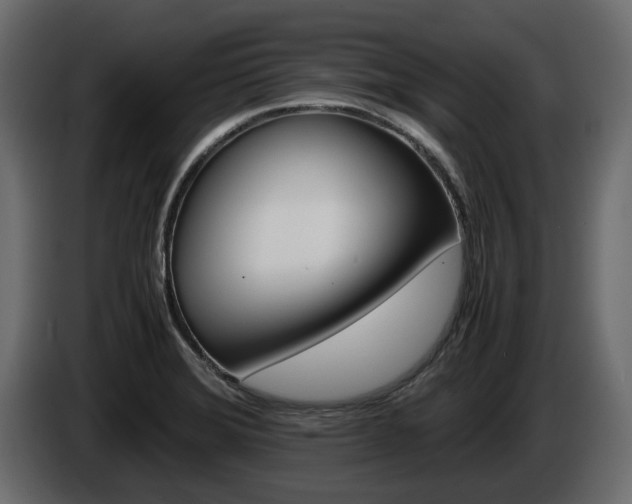 X0000086011372200703230901