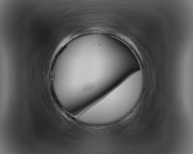 X0000086011373200703230901