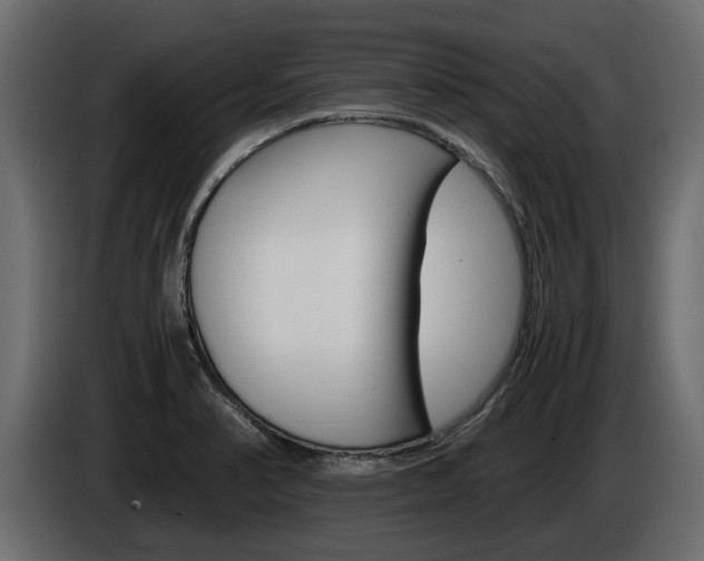 X0000086011374200703230901