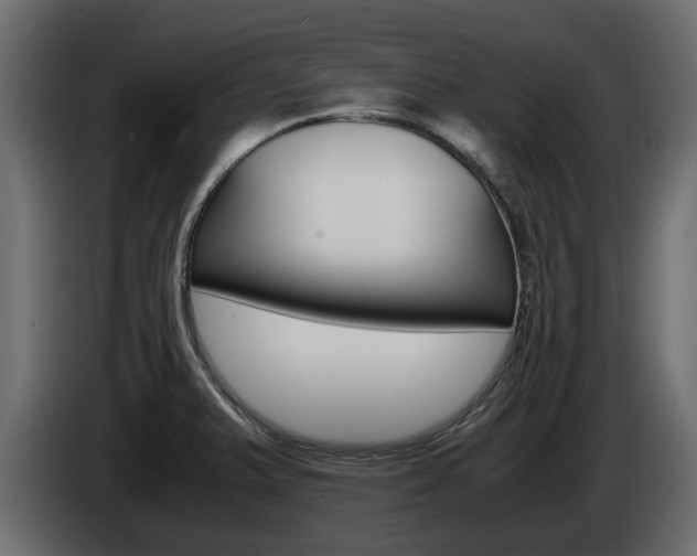 X0000086011375200703230901