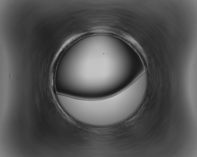 X0000086011376200703230901