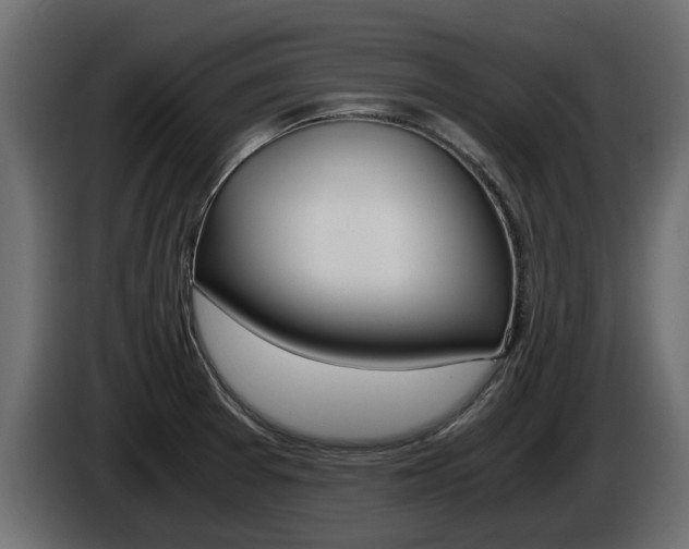 X0000086011377200703230901