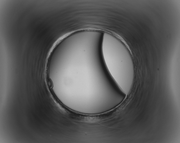 X0000086011379200703230901