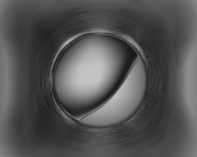 X0000086011380200703230901