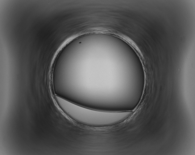 X0000086011381200703230901