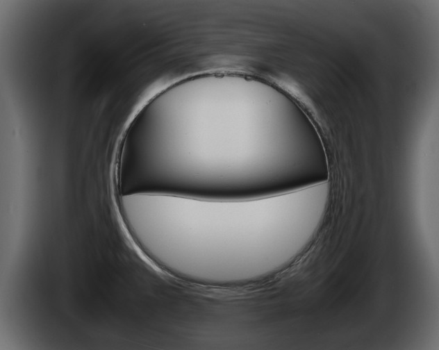 X0000086011383200703230901