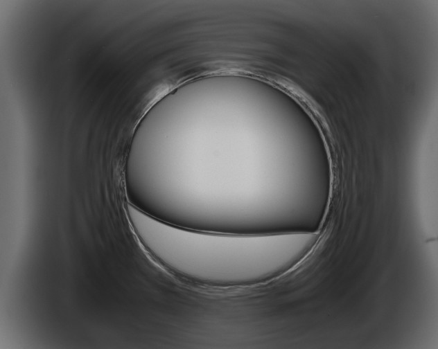 X0000086011385200703230901