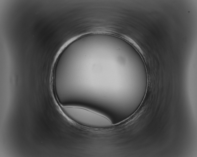 X0000086011387200703230901