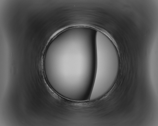 X0000086011388200703230901