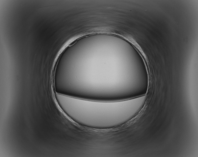 X0000086011389200703230901