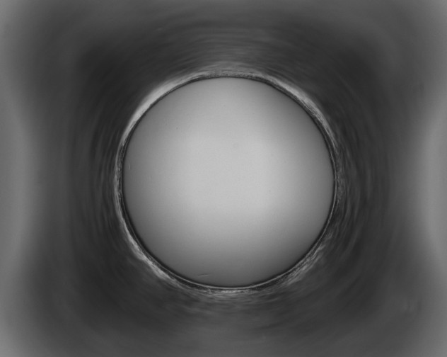 X0000086011390200703230901