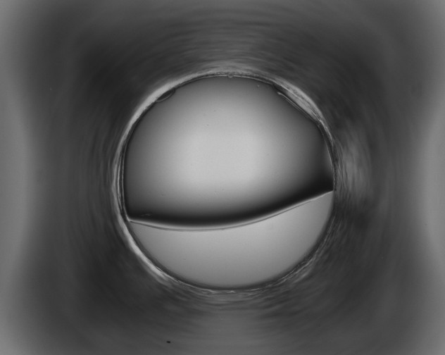 X0000086011391200703230901
