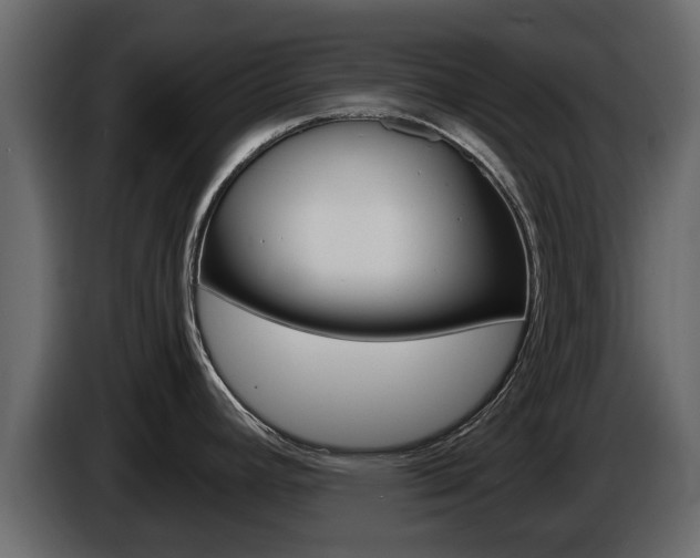 X0000086011392200703230901