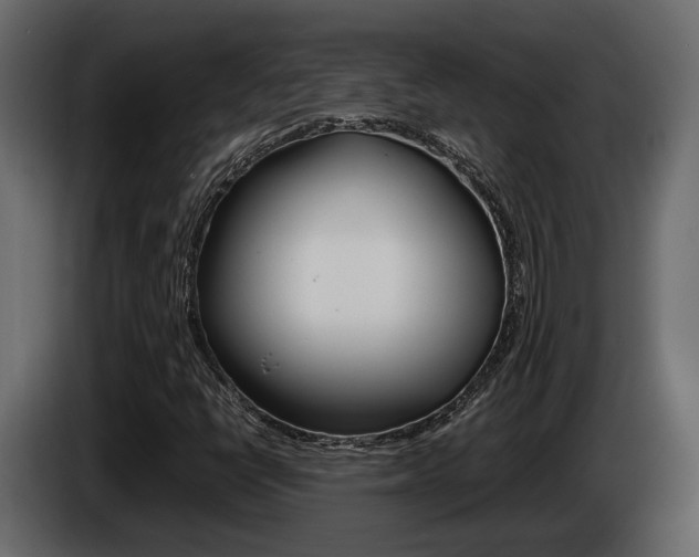 X0000086011398200703230901