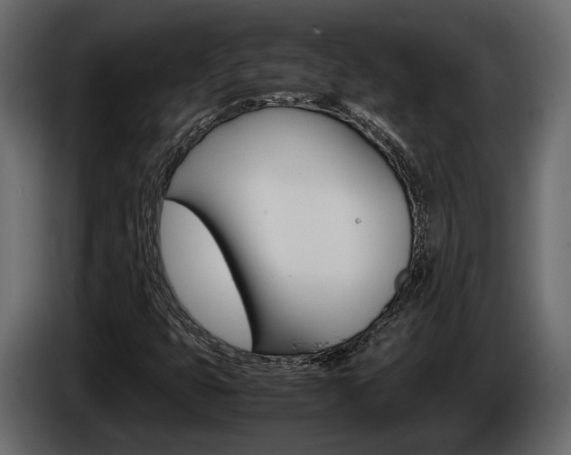 X0000086011399200703230901
