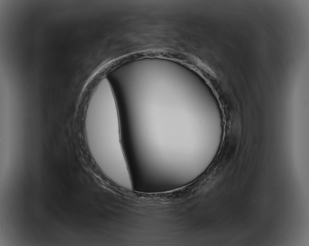 X0000086011400200703230901