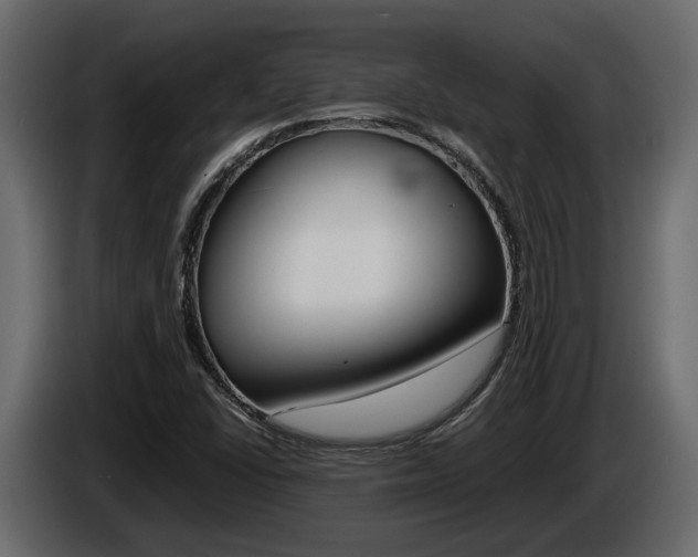 X0000086011406200703230901