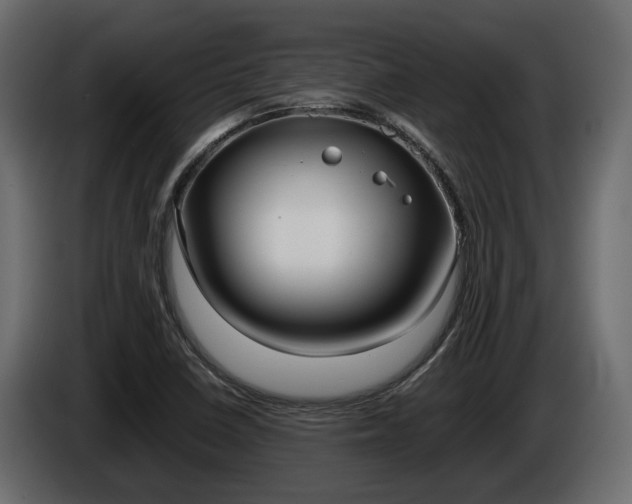 X0000086011410200703230901