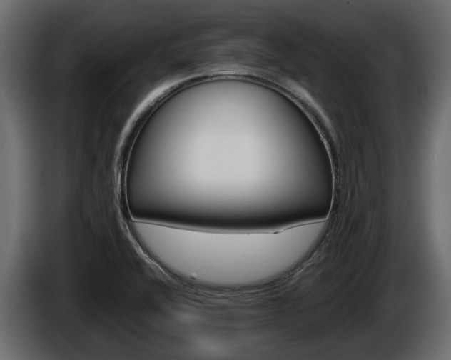 X0000086011416200703230901