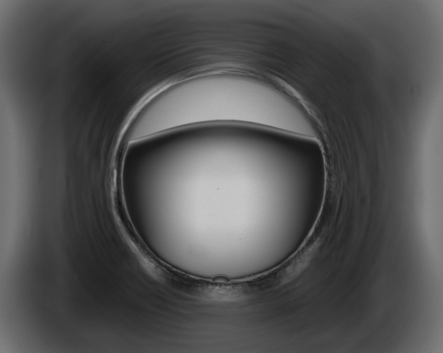 X0000086011418200703230901