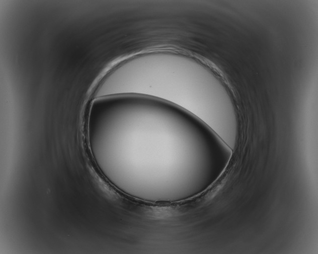 X0000086011422200703230901