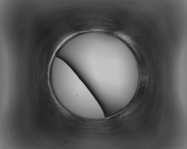 X0000086011423200703230901