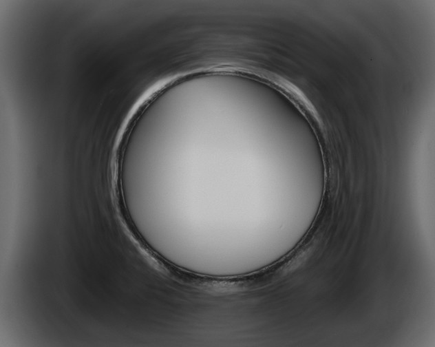 X0000086011424200703230901
