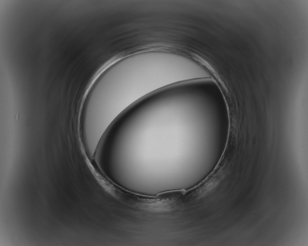 X0000086011426200703230901