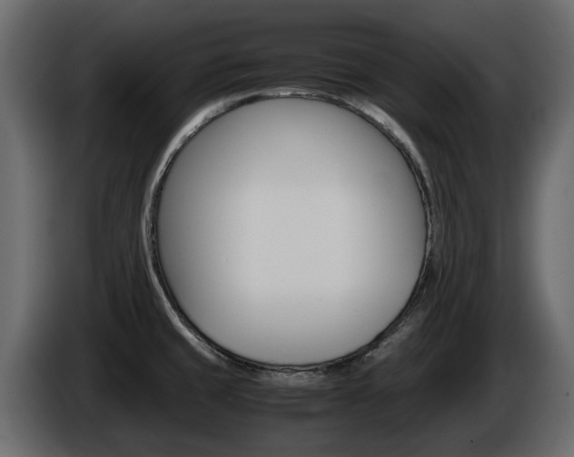 X0000086011429200703230901