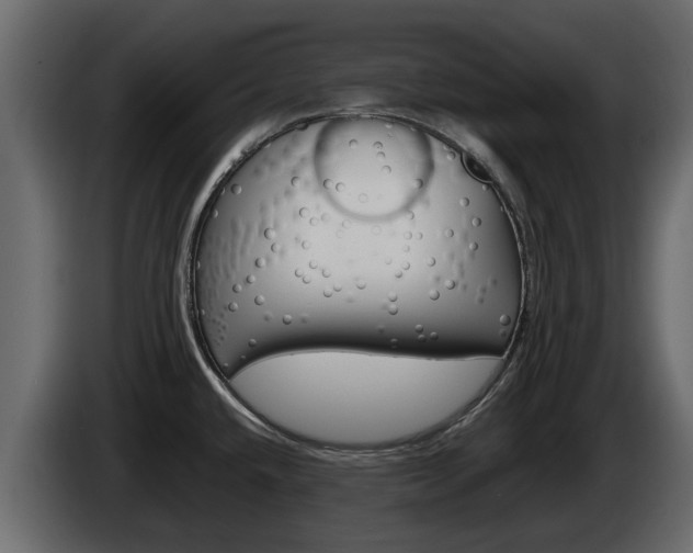 X0000086011432200703230901