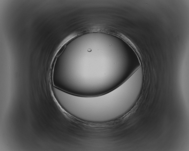 X0000086011434200703230901