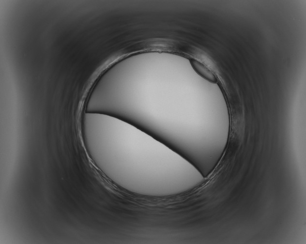 X0000086011435200703230901