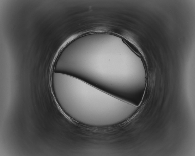 X0000086011437200703230901
