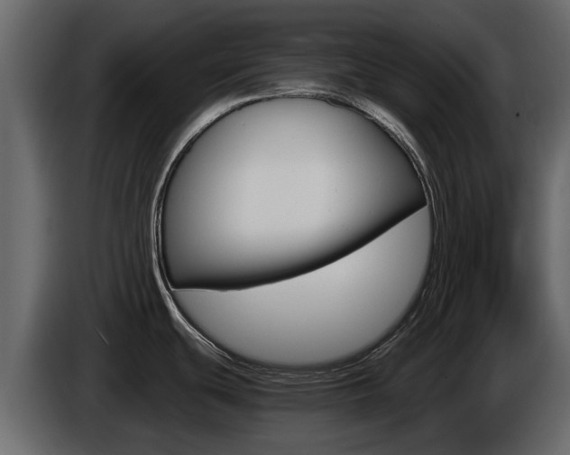 X0000086011439200703230901
