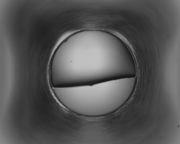 X0000086011440200703230901