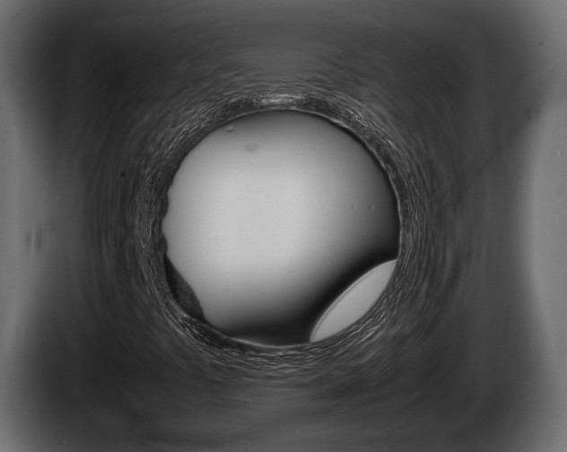 X0000086011441200703230900