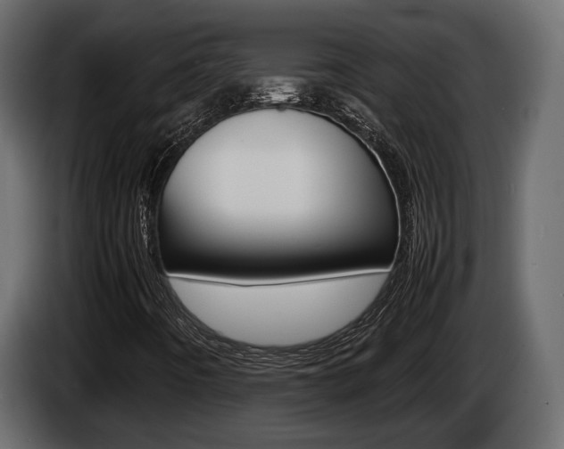 X0000086011442200703230900