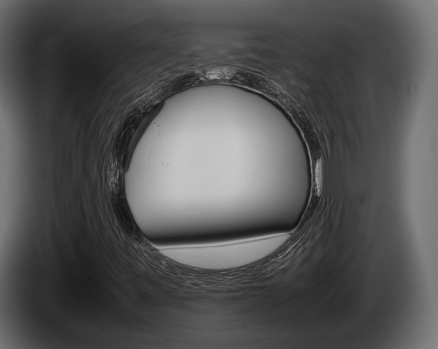 X0000086011443200703230900