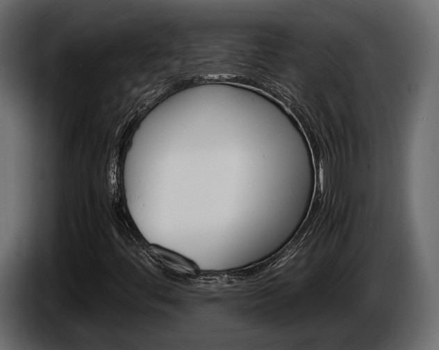 X0000086011444200703230900