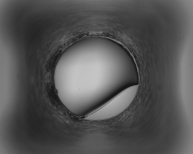 X0000086011445200703230900