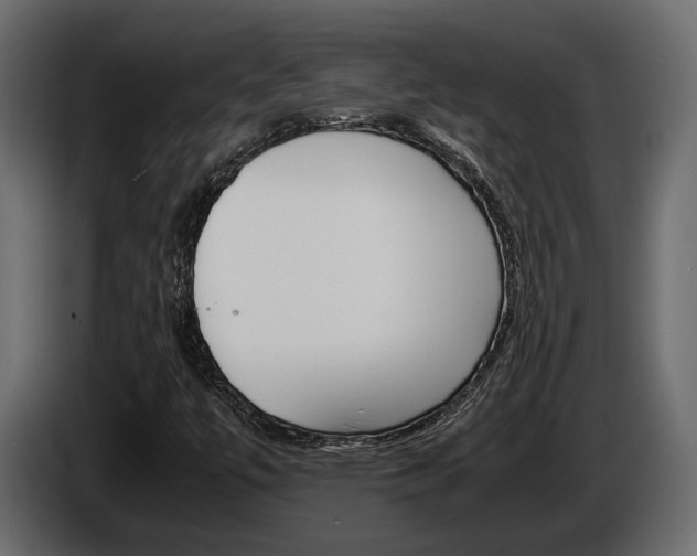 X0000086011447200703230900