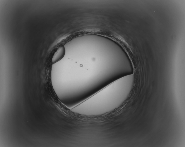 X0000086011448200703230900