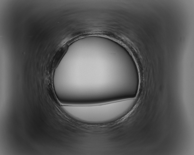 X0000086011449200703230900