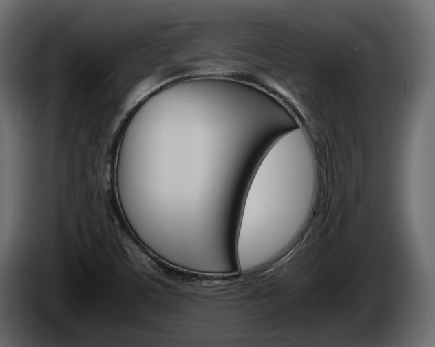 X0000086011459200703230900