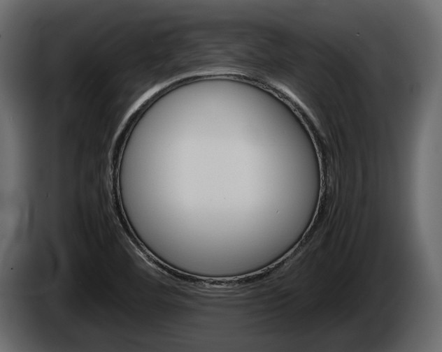X0000086011460200703230900