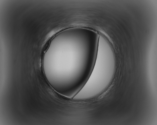 X0000086011461200703230900