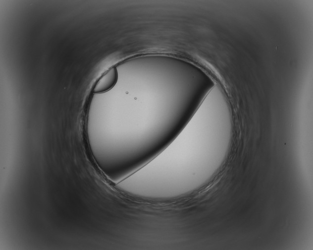 X0000086011463200703230900