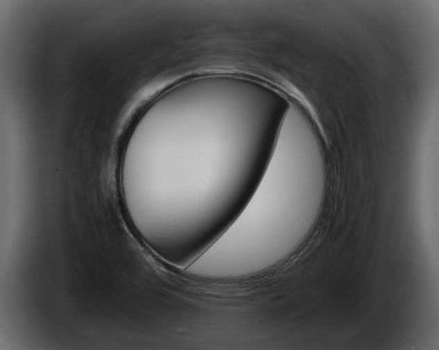 X0000086011464200703230900